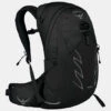 Osprey Talon 22L Rugzak