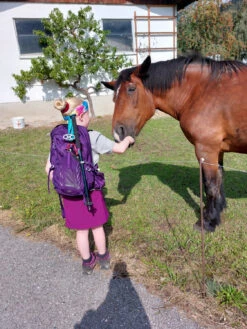 Osprey Women's Tempest 20 - Wandelrugzak
